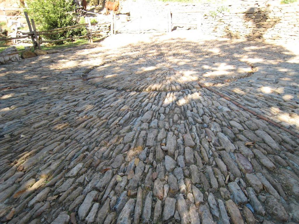 منزل الضيف ماسا  في Centro Trekking A Cavallo Monte Brugiana المظهر الخارجي الصورة