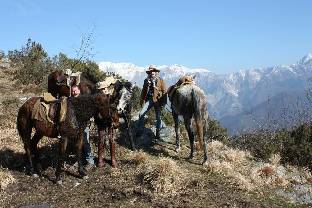 منزل الضيف ماسا  في Centro Trekking A Cavallo Monte Brugiana المظهر الخارجي الصورة